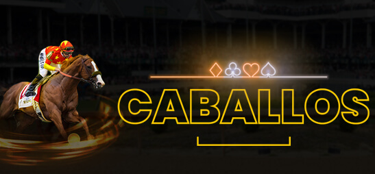 image banner caballos